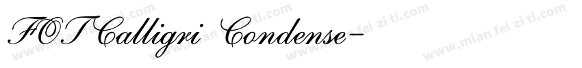 FOTCalligri Condense字体转换